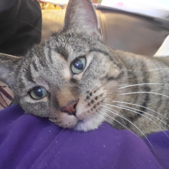 Meet your Posher, Mark - Picture 3 of 8